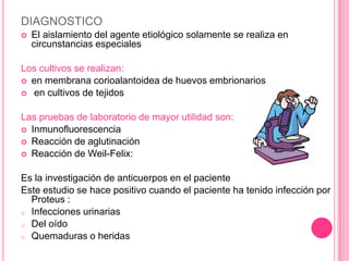 DIAGNOSTICO
   El aislamiento del agente etiológico solamente se realiza en
    circunstancias especiales

Los cultivos se realizan:
 en membrana corioalantoidea de huevos embrionarios
 en cultivos de tejidos


Las pruebas de laboratorio de mayor utilidad son:
 Inmunofluorescencia
 Reacción de aglutinación
 Reacción de Weil-Felix:


Es la investigación de anticuerpos en el paciente
Este estudio se hace positivo cuando el paciente ha tenido infección por
  Proteus :
o Infecciones urinarias
o Del oído
o Quemaduras o heridas
 