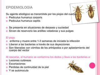 EPIDEMIOLOGIA
Su agente etiológico es transmitido por los piojos del cuerpo:
 Pediculus humanus corporis
 Pediculus humanus capitis


   Se presenta en situaciones de desaseo y suciedad
   Sirven de reservorio las ardillas voladoras y sus pulgas

El piojo:
 enferma y muere entre 1-3 semanas de iniciada la infección
 Liberan a las bacterias a través de sus deyecciones
 Son liberadas con vómitos de los artrópodos o por aplastamiento del
   cuerpo del vector

Al rascarse, el humano se contamina los dedos y lleva a las bacterias a:
 Lesiones cutáneas
 Excoriaciones
 Perdidas de continuidad de la piel
 Y se autoinocula
 