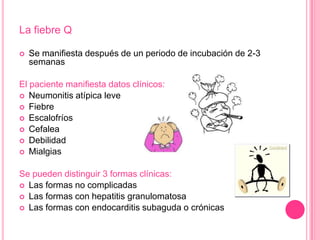 La fiebre Q

   Se manifiesta después de un periodo de incubación de 2-3
    semanas

El paciente manifiesta datos clínicos:
 Neumonitis atípica leve
 Fiebre
 Escalofríos
 Cefalea
 Debilidad
 Mialgias


Se pueden distinguir 3 formas clínicas:
 Las formas no complicadas
 Las formas con hepatitis granulomatosa
 Las formas con endocarditis subaguda o crónicas
 