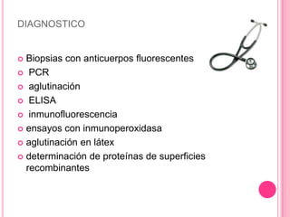 DIAGNOSTICO


 Biopsias con anticuerpos fluorescentes
 PCR

 aglutinación

 ELISA

 inmunofluorescencia

 ensayos con inmunoperoxidasa

 aglutinación en látex

 determinación de proteínas de superficies
  recombinantes
 