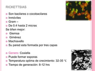 RICKETTSIAS

 Son bacilares o cocobacilares
 Inmóviles
 Gram –
 De 0.4 hasta 2 micras
Se tiñen mejor:
 Giemsa
 Giménez
 Machiavello
 Su pared esta formada por tres capas


   Genero: Coxiella
   Puede formar esporas
   Temperatura optima de crecimiento: 32-35 °C
   Tiempo de generación: 8-12 hrs
 