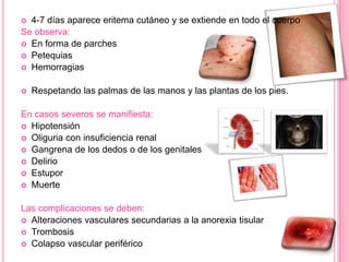  4-7 días aparece eritema cutáneo y se extiende en todo el cuerpo
Se observa:
 En forma de parches
 Petequias
 Hemorragias


   Respetando las palmas de las manos y las plantas de los pies.

En casos severos se manifiesta:
 Hipotensión
 Oliguria con insuficiencia renal
 Gangrena de los dedos o de los genitales
 Delirio
 Estupor
 Muerte


Las complicaciones se deben:
 Alteraciones vasculares secundarias a la anorexia tisular
 Trombosis
 Colapso vascular periférico
 