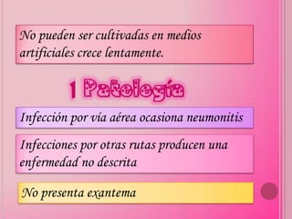 No pueden ser cultivadas en medios
artificiales crece lentamente.

         Patología
Infección por vía aérea ocasiona neumonitis
Infecciones por otras rutas producen una
enfermedad no descrita

No presenta exantema
 