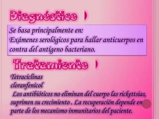 Diagnóstico
Se basa principalmente en:
Exámenes serológicos para hallar anticuerpos en
contra del antígeno bacteriano.

Tratamiento
Tetraciclinas
cloranfenicol
 Los antibióticos no eliminan del cuerpo las rickettsias,
suprimen su crecimiento . La recuperación depende en
parte de los mecanismo inmunitarios del paciente.
 