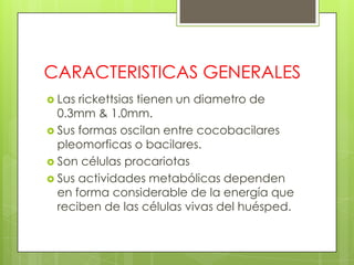 CARACTERISTICAS GENERALES
 Las rickettsias tienen un diametro de
  0.3mm & 1.0mm.
 Sus formas oscilan entre cocobacilares
  pleomorficas o bacilares.
 Son células procariotas
 Sus actividades metabólicas dependen
  en forma considerable de la energía que
  reciben de las células vivas del huésped.
 