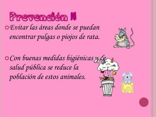Evitar las áreas donde se puedan
 encontrar pulgas o piojos de rata.

Con buenas medidas higiénicas y de
 salud pública se reduce la
 población de estos animales.
 
