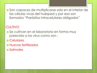  Son  capaces de multiplicarse solo en el interior de
  las células vivas del huésped y por eso son
  llamados “Parásitos intracelulares obligados”

CULTIVO
 Se cultivan en el laboratorio en forma muy
  parecida a los virus como son :
 Celulares
 Huevos fertilizados
 Salmales
 
