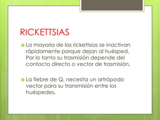 RICKETTSIAS
 Lamayoría de las rickettsias se inactivan
 rápidamente porque dejan al huésped.
 Por lo tanto su trasmisión depende del
 contacto directo o vector de trasmisión.

 La
   fiebre de Q, necesita un artrópodo
 vector para su transmisión entre los
 huéspedes.
 