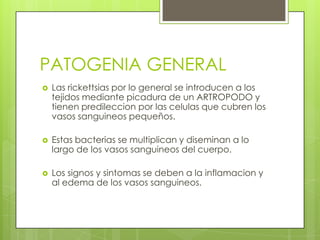 PATOGENIA GENERAL
   Las rickettsias por lo general se introducen a los
    tejidos mediante picadura de un ARTROPODO y
    tienen predileccion por las celulas que cubren los
    vasos sanguineos pequeños.

   Estas bacterias se multiplican y diseminan a lo
    largo de los vasos sanguineos del cuerpo.

   Los signos y sintomas se deben a la inflamacion y
    al edema de los vasos sanguineos.
 