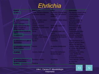 Lilia L. Carrero P. Microbiología
Veterinaria
Ehrlichia
12
13
 