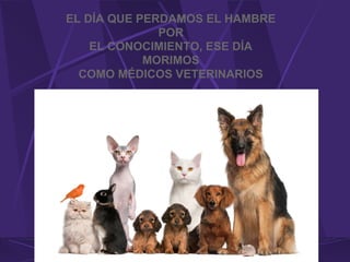 Lilia L. Carrero P. Microbiología
Veterinaria
EL DÍA QUE PERDAMOS EL HAMBRE
POR
EL CONOCIMIENTO, ESE DÍA
MORIMOS
COMO MÉDICOS VETERINARIOS
 
