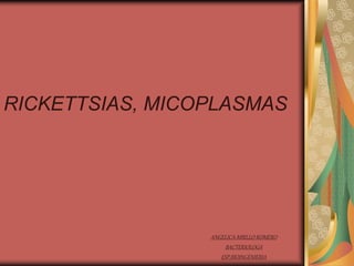 RICKETTSIAS, MICOPLASMAS
ANGELICA MIRLLO ROMERO
BACTERIOLOGA
ESP.BIOINGENIERIA
 