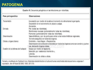 PATOGENIA
 