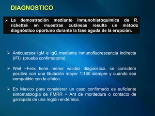  Anticuerpos IgM e IgG mediante inmunofluorescencia indirecta
(IFI) (prueba confirmatoria)
 Weil –Felix tiene menor validez diagnostica, se considera
positiva con una titulación mayor 1:160 siempre y cuando sea
compatible con la clínica.
 En Mexico para considerar un caso confirmado es suficiente
sintomatología de FMRR + Ant de mordedura o contacto de
garrapata de una región endémica.
DIAGNOSTICO
 La demostración mediante inmunohistoquímica de R.
rickettsii en muestras cutáneas resulta un método
diagnóstico oportuno durante la fase aguda de la erupción.
 