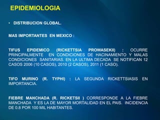 EPIDEMIOLOGIA
MAS IMPORTANTES EN MEXICO :
TIFUS EPIDEMICO (RICKETTSIA PROWASEKII) : OCURRE
PRINCIPALMENTE EN CONDICIONES DE HACINAMIENTO Y MALAS
CONDICIONES SANITARIAS. EN LA ULTIMA DECADA SE NOTIFICAN 12
CASOS 2006 (10 CASOS), 2010 (2 CASOS), 2011 (1 CASO).
TIFO MURINO (R. TYPHI) : LA SEGUNDA RICKETTSIASIS EN
IMPORTANCIA.
FIEBRE MANCHADA (R. RICKETSII ) CORRESPONDE A LA FIEBRE
MANCHADA Y ES LA DE MAYOR MORTALIDAD EN EL PAIS. INCIDENCIA
DE 0.8 POR 100 MIL HABITANTES.
• DISTRIBUCION GLOBAL.
 