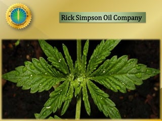 Rick Simpson Oil Company
 