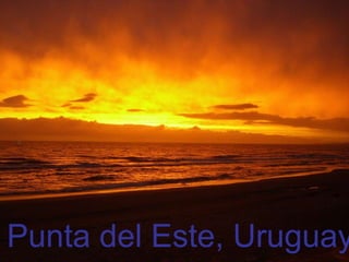 Punta del Este, Uruguay 