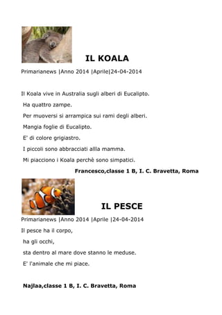 IL KOALA
Primarianews |Anno 2014 |Aprile|24-04-2014
Il Koala vive in Australia sugli alberi di Eucalipto.
Ha quattro zampe.
Per muoversi si arrampica sui rami degli alberi.
Mangia foglie di Eucalipto.
E' di colore grigiastro.
I piccoli sono abbracciati allla mamma.
Mi piacciono i Koala perchè sono simpatici.
Francesco,classe 1 B, I. C. Bravetta, Roma
IL PESCE
Primarianews |Anno 2014 |Aprile |24-04-2014
Il pesce ha il corpo,
ha gli occhi,
sta dentro al mare dove stanno le meduse.
E' l'animale che mi piace.
Najlaa,classe 1 B, I. C. Bravetta, Roma
 