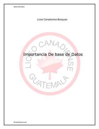 Basesde Datos
RicardoGaumuch
Liceo Canadiense Bosques
Importancia De base de Datos
 