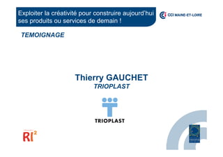 Thierry GAUCHET
TRIOPLAST
TEMOIGNAGE
Exploiter la créativité pour construire aujourd’hui
ses produits ou services de demain !
 
