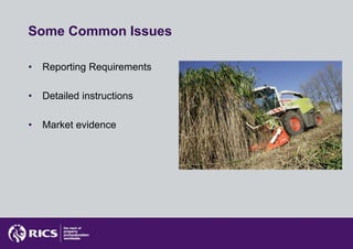 Some Common Issues

•   Reporting Requirements

•   Detailed instructions

•   Market evidence
 