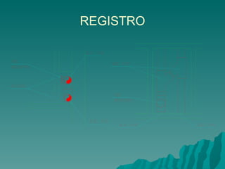 REGISTRO 