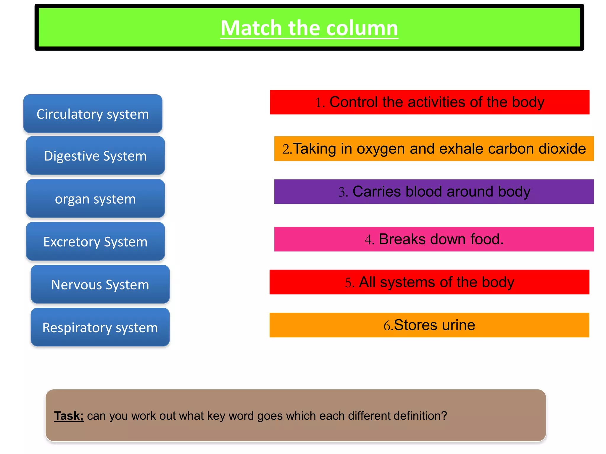 organs in human | PPTX