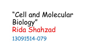 “Cell and Molecular
Biology”
Rida Shahzad
13091514-079
 