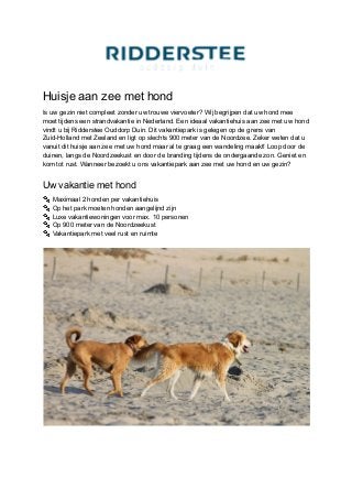 Huisje aan zee met hond
Is uw gezin niet compleet zonder uw trouwe viervoeter? Wij begrijpen dat uw hond mee
moet tijdens een strandvakantie in Nederland. Een ideaal vakantiehuis aan zee met uw hond
vindt u bij Ridderstee Ouddorp Duin. Dit vakantiepark is gelegen op de grens van
Zuid-Holland met Zeeland en ligt op slechts 900 meter van de Noordzee. Zeker weten dat u
vanuit dit huisje aan zee met uw hond maar al te graag een wandeling maakt! Loop door de
duinen, langs de Noordzeekust en door de branding tijdens de ondergaande zon. Geniet en
kom tot rust. Wanneer bezoekt u ons vakantiepark aan zee met uw hond en uw gezin?
Uw vakantie met hond
🐾Maximaal 2 honden per vakantiehuis
🐾Op het park moeten honden aangelijnd zijn
🐾Luxe vakantiewoningen voor max. 10 personen
🐾Op 900 meter van de Noordzeekust
🐾Vakantiepark met veel rust en ruimte
 