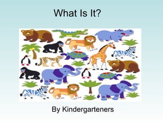 What Is It? By Kindergarteners 
