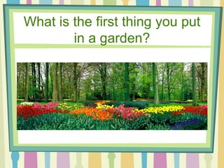 What is the first thing you put in a garden? 