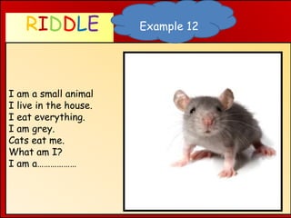 Animal Riddle Example Animal Riddles. | PPT