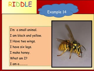 Animal Riddles. | PPT