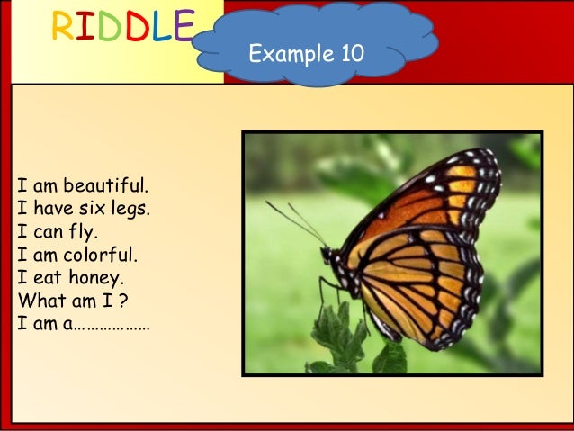 what am i animal riddles what am i animal riddles