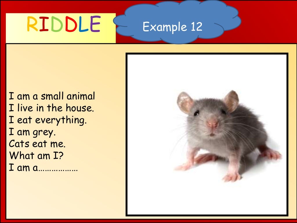 описание животных на английском языке 2 класс. They are small animals. загадка по английскому про животных. животные пустыни сурикаты. загадка по английскому про животных.