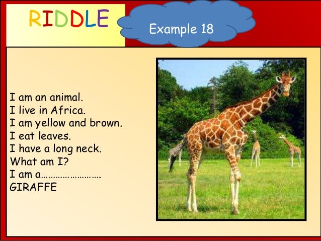 what am i animal riddles what am i animal riddles