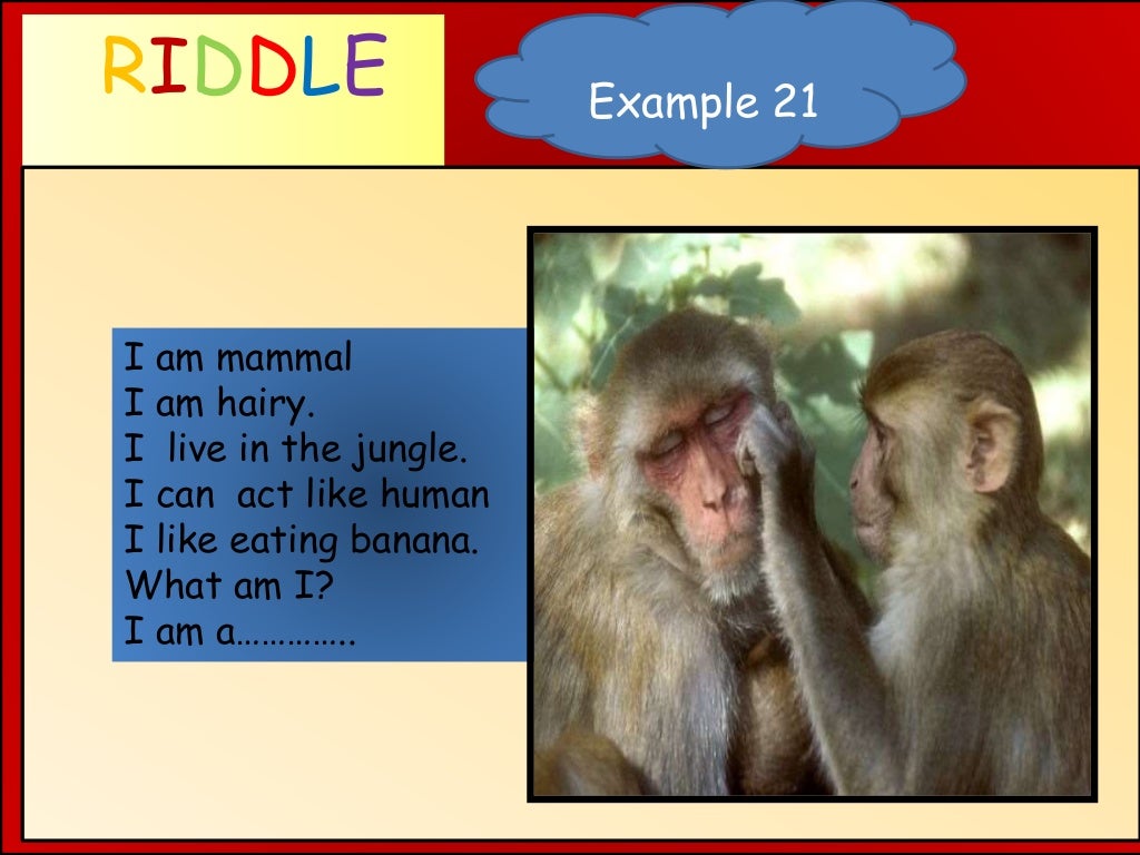 Animal Riddles.