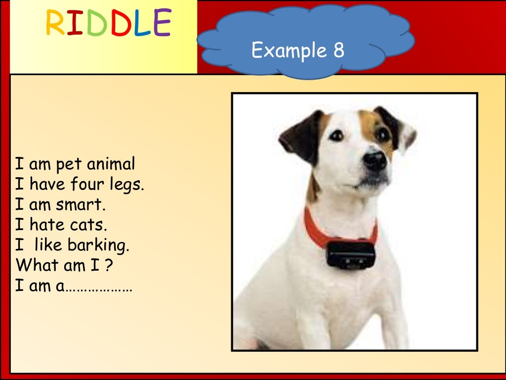 Pet s riddles игра. Animal Riddles. Riddles about animals. Riddle example. Pets примеры.