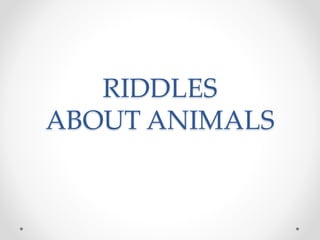 RIDDLES
ABOUT ANIMALS
 