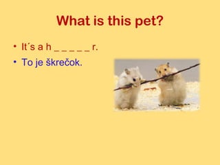 Riddles about pets 1 | PPT