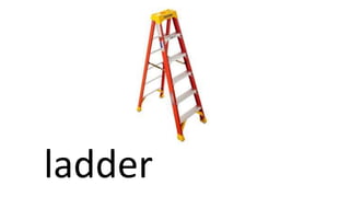 ladder