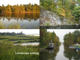 Landscape setting
                    12
 