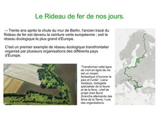 Le Rideau de fer de nos jours.
→ Trente ans après la chute du mur de Berlin, l'ancien tracé du
Rideau de fer est devenu la ceinture verte européenne ; soit le
réseau écologique le plus grand d'Europe.
“Transformer cette ligne
de mort en ligne de vie
est un moyen
fantastique d’honorer la
paix et l’unité”, Liana
Geidezis, biologiste
spécialiste de la faune
et de la flore ; chef de
projet chez Bund
(branche allemande des
Amis de la Terre), l’une
des organisations.
C'est un premier exemple de réseau écologique transfrontalier
organisé par plusieurs organisations des différents pays
d'Europe.
 