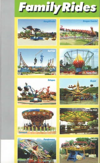 Amusement Rides