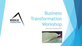 Business
Transformation
Workshop
Overview January 2017
 