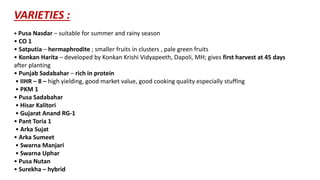 VARIETIES :
• Pusa Nasdar – suitable for summer and rainy season
• CO 1
• Satputia – hermaphrodite ; smaller fruits in clusters , pale green fruits
• Konkan Harita – developed by Konkan Krishi Vidyapeeth, Dapoli, MH; gives first harvest at 45 days
after planting
• Punjab Sadabahar – rich in protein
• IIHR – 8 – high yielding, good market value, good cooking quality especially stuffing
• PKM 1
• Pusa Sadabahar
• Hisar Kalitori
• Gujarat Anand RG-1
• Pant Toria 1
• Arka Sujat
• Arka Sumeet
• Swarna Manjari
• Swarna Uphar
• Pusa Nutan
• Surekha – hybrid
 