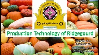 .Production Technology of Ridgegourd
 