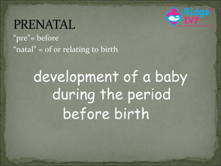 “pre”= before
“natal” = of or relating to birth

development of a baby
during the period
before birth

 