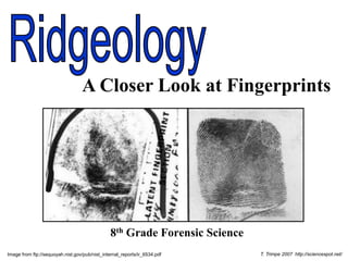 8th Grade Forensic Science
A Closer Look at Fingerprints
Image from ftp://sequoyah.nist.gov/pub/nist_internal_reports/ir_6534.pdf T. Trimpe 2007 http://sciencespot.net/
 