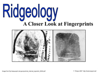 A Closer Look at Fingerprints
Image from ftp://sequoyah.nist.gov/pub/nist_internal_reports/ir_6534.pdf T. Trimpe 2007 http://sciencespot.net/
 